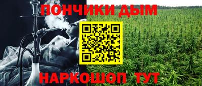 прущие грибы Рязань