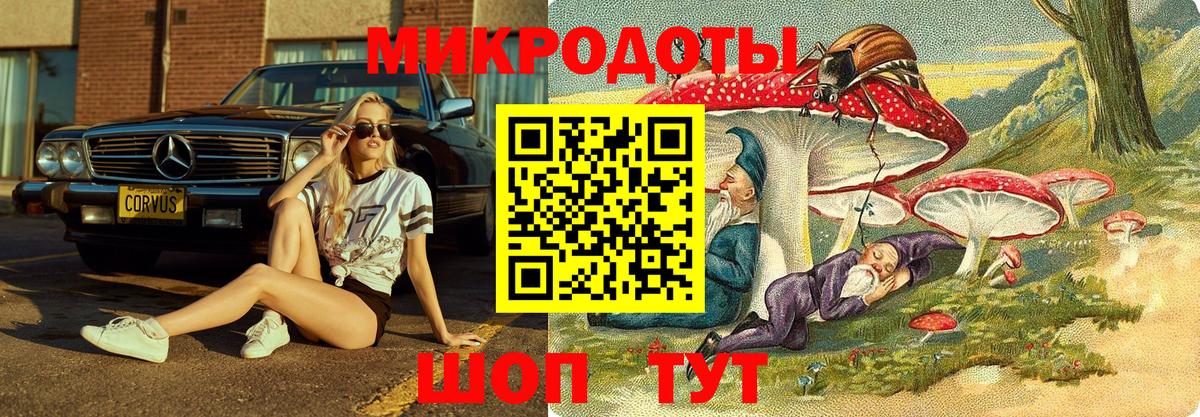 Галлюциногенные грибы MAGIC MUSHROOMS  Вход с VPN  Рязань 